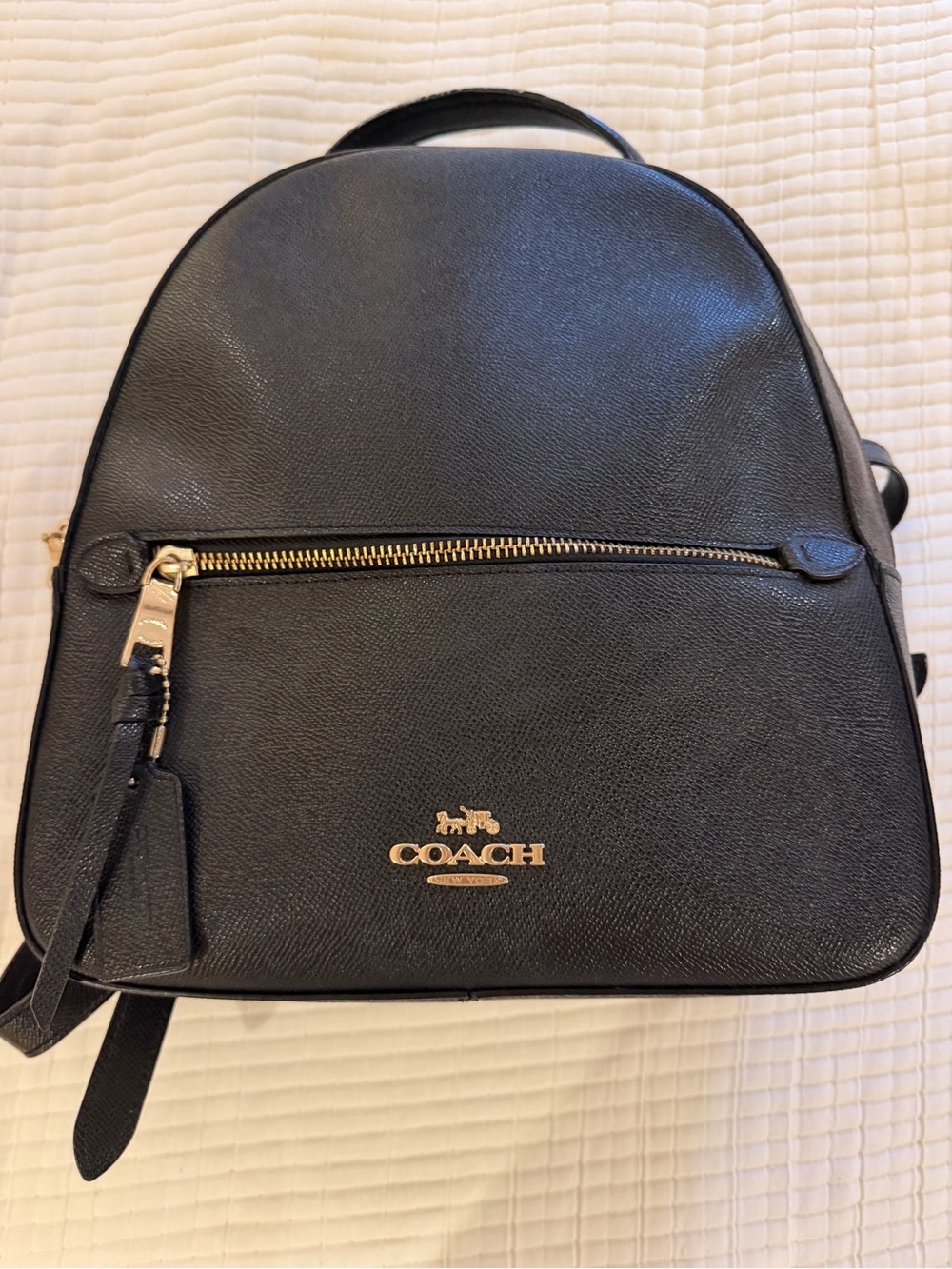 Coach Black Leather Mini Backpack with Gold Accent